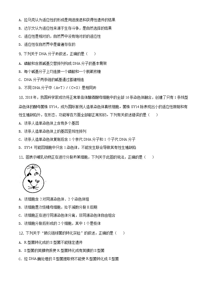 高中生物第二册 精品解析.山东省日照市2019-2020学年高一下学期期末生物试题（无答案）第3页