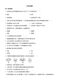 高中生物第二册 精品解析.天津市滨海新区大港太平村中学2019-2020学年高一下学期期末质量检测生物试题（无答案）