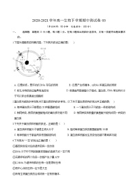 高中生物第二册 2020-2021学年高一生物下学期期中测试卷03（人教版2019选择性必修（无答案）