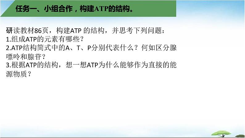 5.2细胞的能量“货币”ATP课件2022-2023学年高一上学期生物人教版必修1第5页