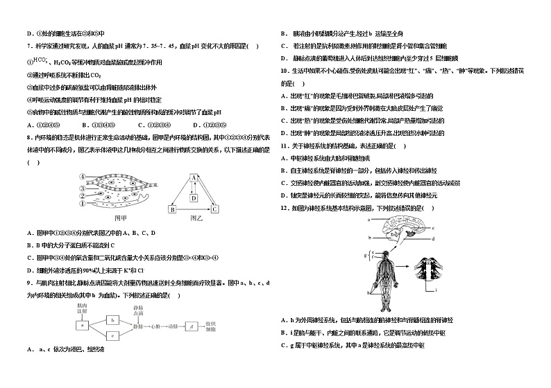 河南省洛阳市孟津区第一高级中学2022-2023学年高二上学期第一次月考生物试题（含答案）第2页