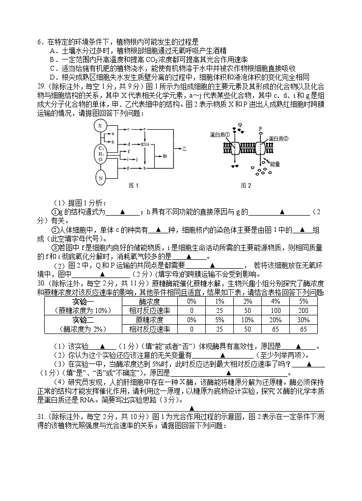 四川省遂宁市射洪中学2022—2023学年高三上学期第一次月考理综生物试题（含答案）第2页