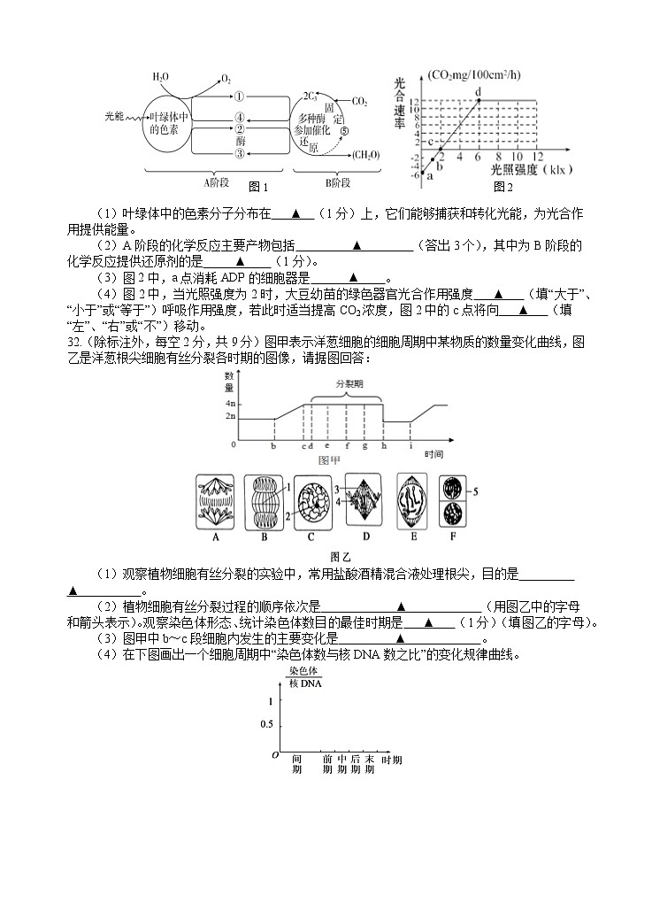 四川省遂宁市射洪中学2022—2023学年高三上学期第一次月考理综生物试题（含答案）第3页