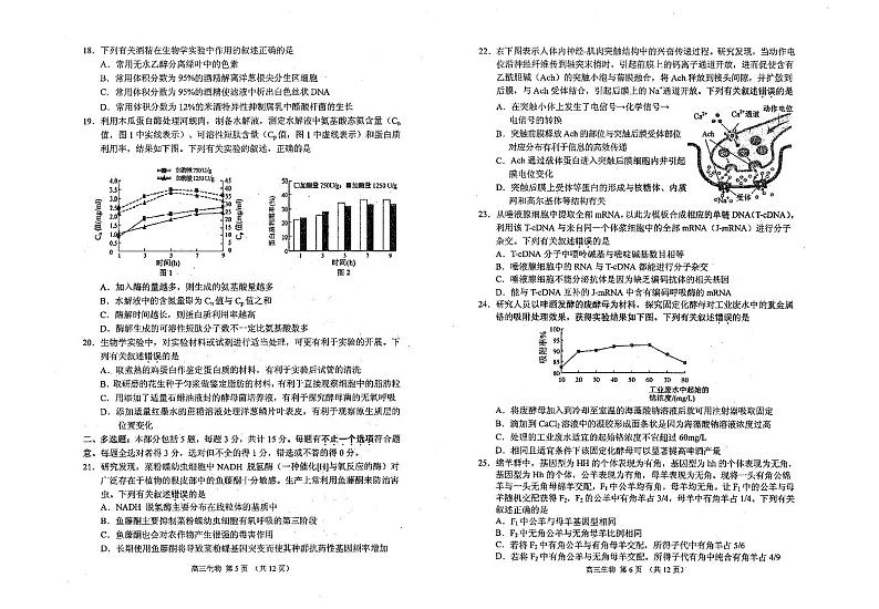 生物试卷第3页