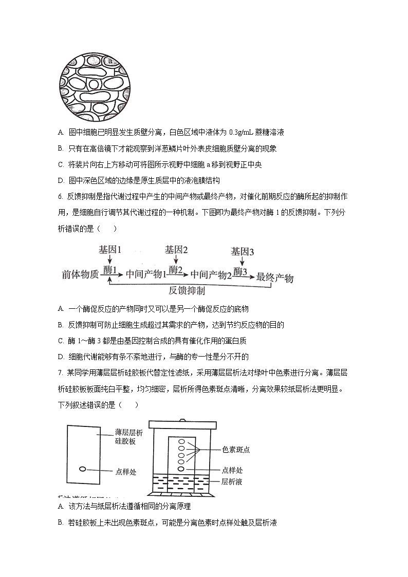 河南省TOP二十名校2023届高三9月摸底考试生物试题（Word版附答案）第2页