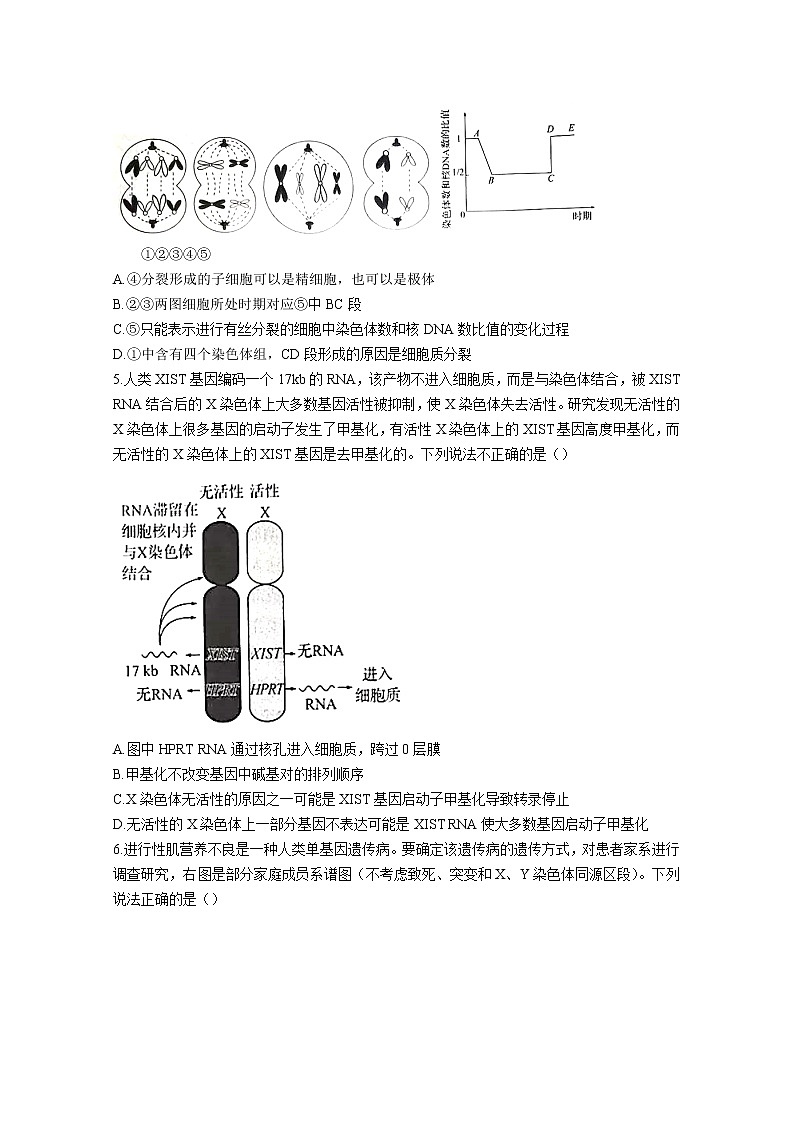 河北省邯郸市2023届高三上学期摸底考试生物（Word版附解析）第2页