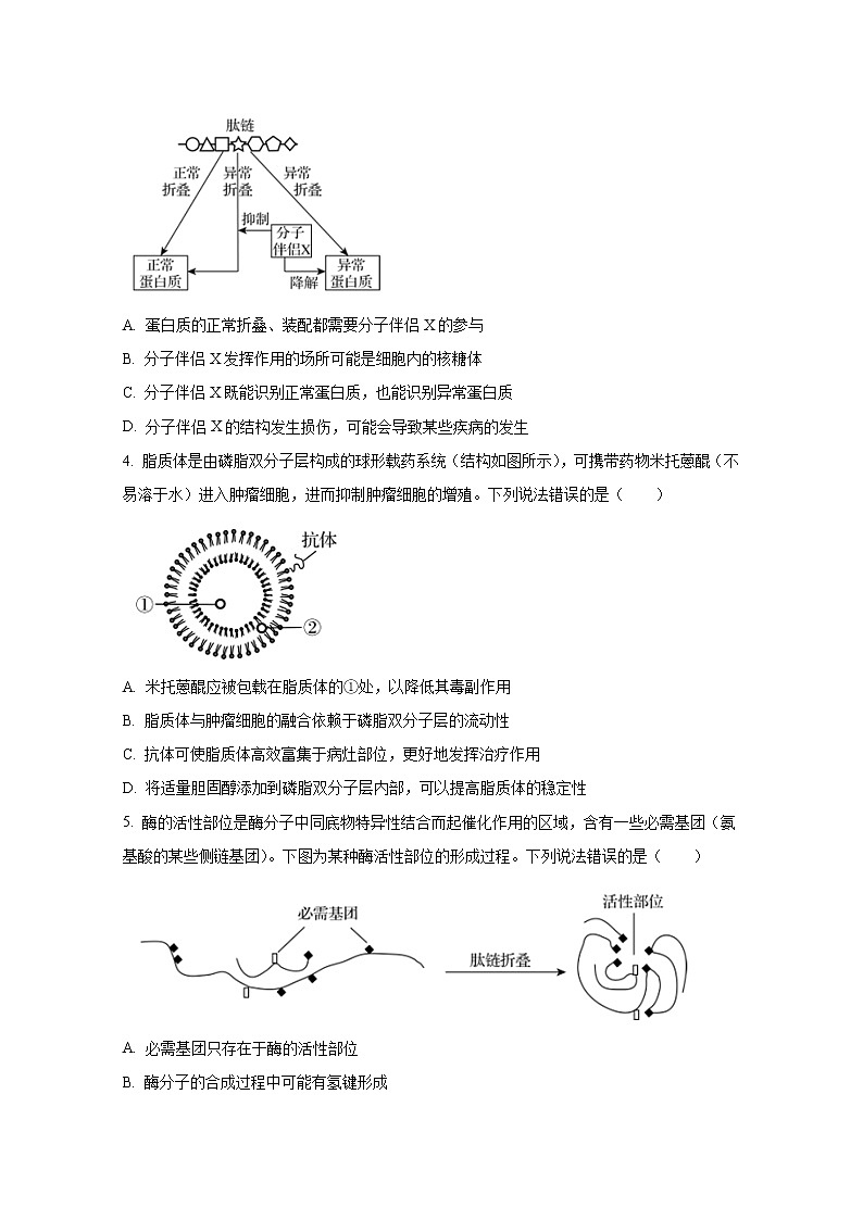 山东省名校联盟2022-2023学年高三上学期第一次学业质量联合检测生物试题（Word版附答案）02