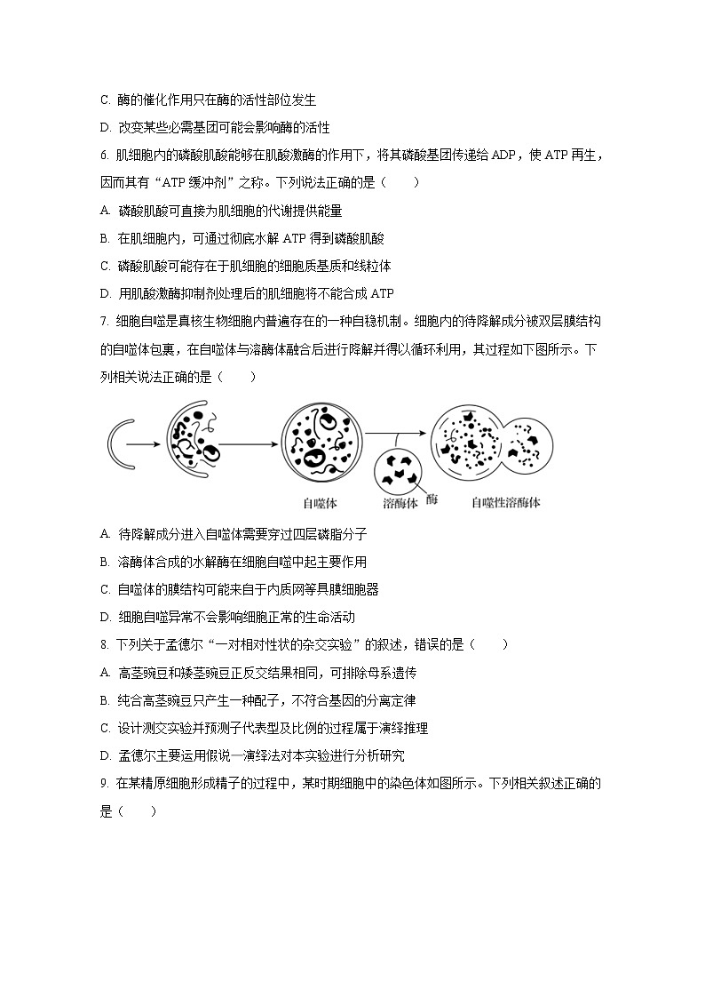 山东省名校联盟2022-2023学年高三上学期第一次学业质量联合检测生物试题（Word版附答案）03