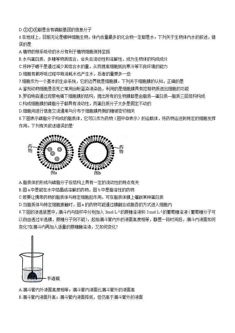 辽宁省名校联盟2022-2023学年高三9月联合考试生物（Word版附答案）02