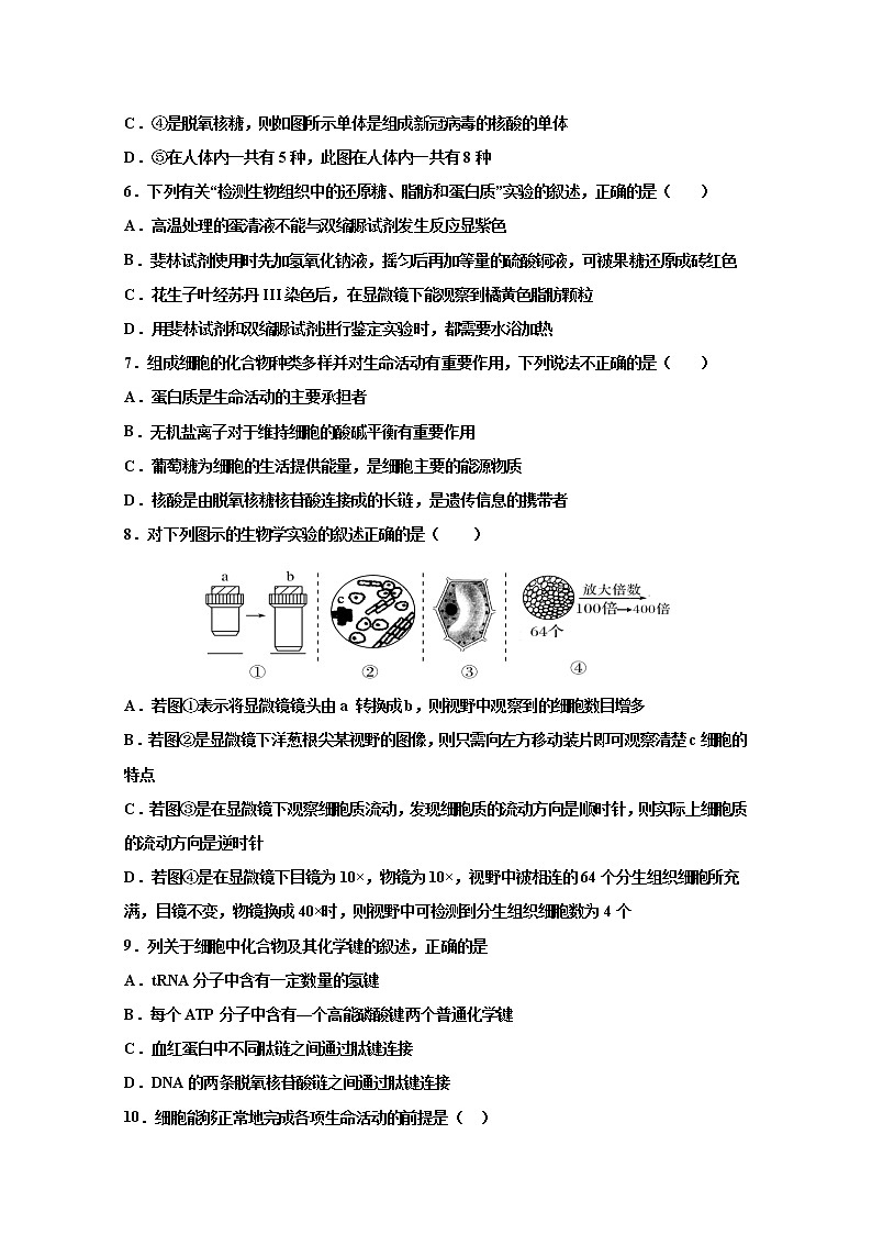 吉林省吉林市永吉县第四中学2023届高三上学期9月月考生物试题（Word版附答案）第2页