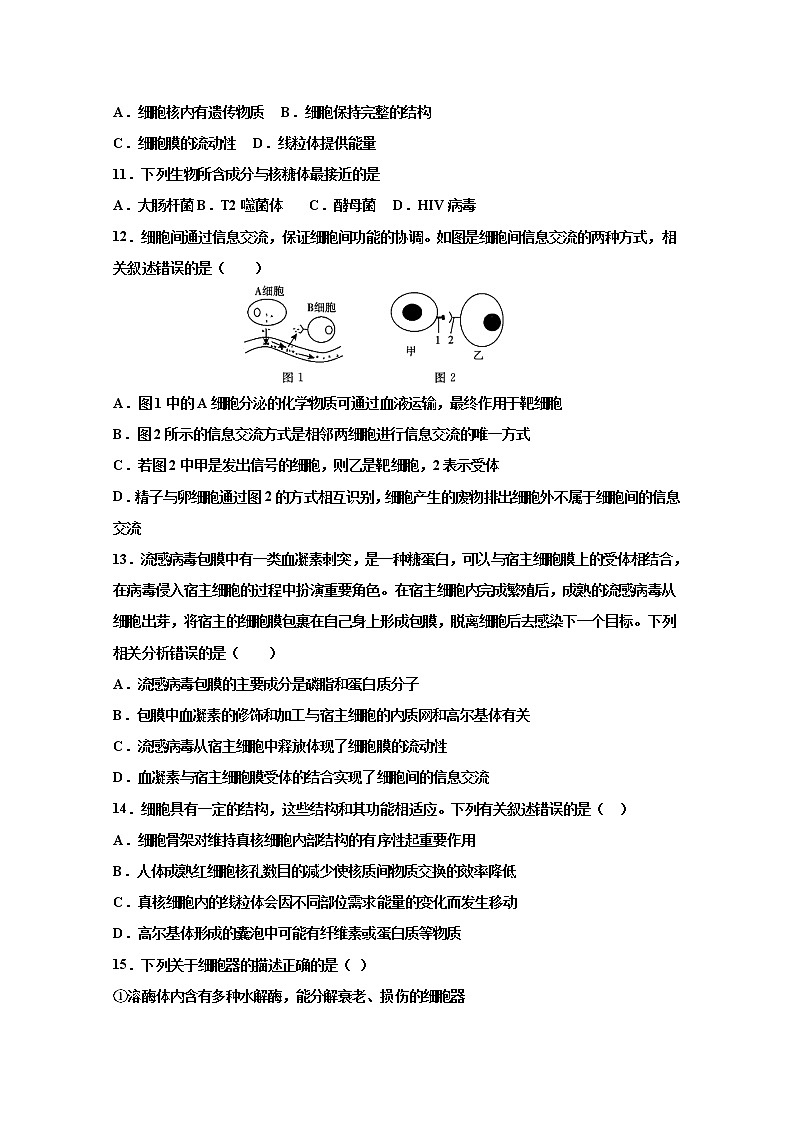 吉林省吉林市永吉县第四中学2023届高三上学期9月月考生物试题（Word版附答案）第3页