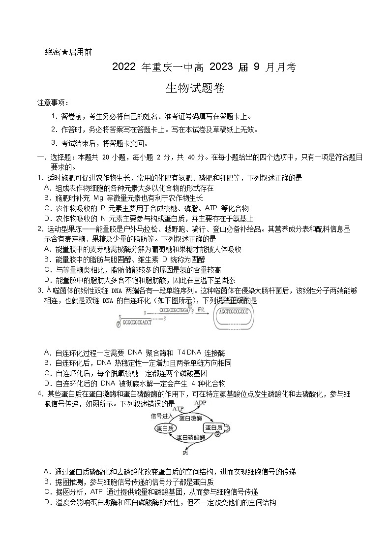 重庆市第一中学2023届高三上学期9月月考生物试题（Word版附答案）01