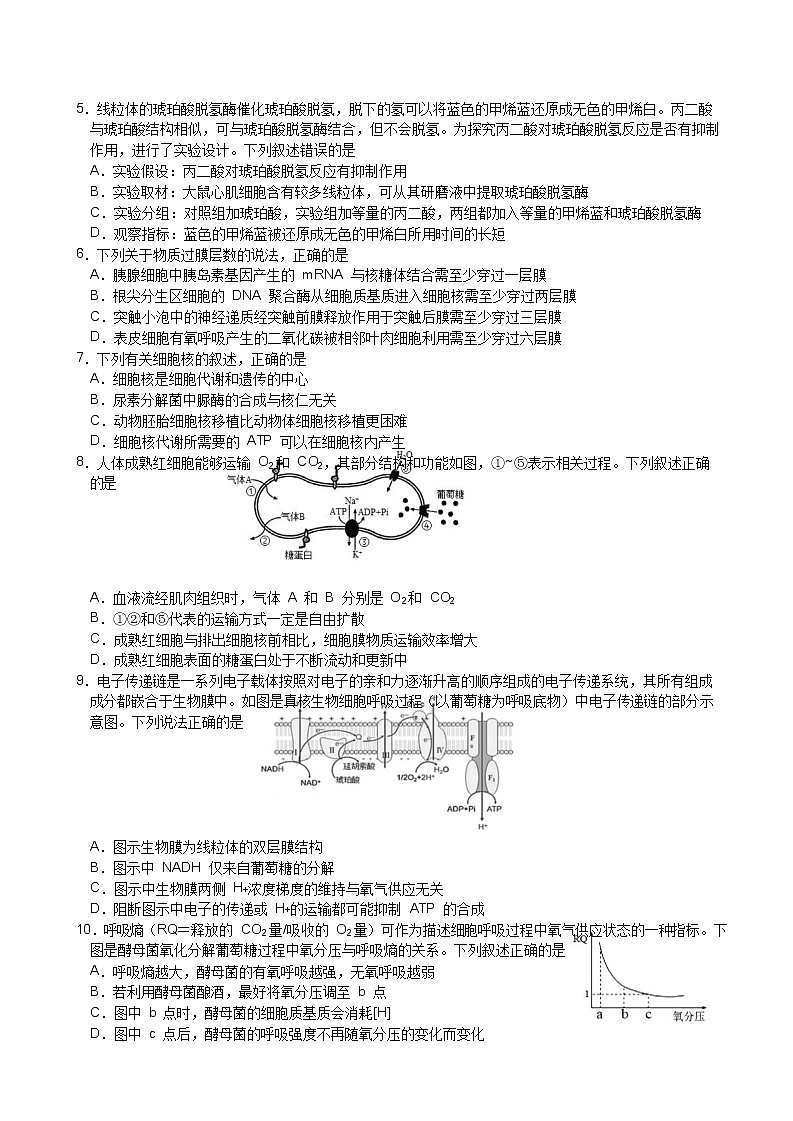 重庆市第一中学2023届高三上学期9月月考生物试题（Word版附答案）02