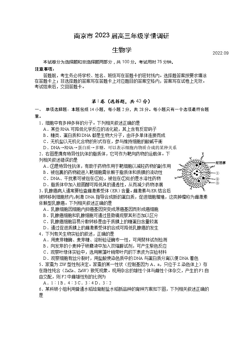 江苏省南京市2022-2023学年高三上学期9月学情调研试题生物（Word版附答案）01