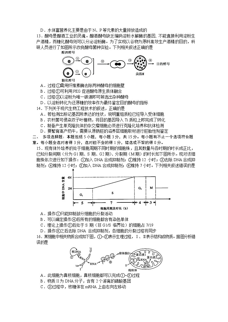 江苏省南京市2022-2023学年高三上学期9月学情调研试题生物（Word版附答案）03