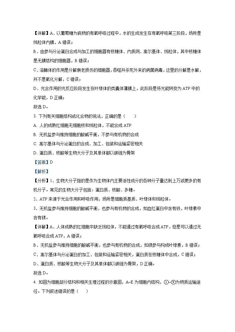 江苏省连云港市灌南高级中学2023届高三上学期第一次阶段性考试生物试题（Word版附解析）第2页