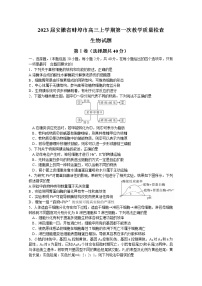 安徽省蚌埠市2023届高三上学期第一次教学质量检查试题生物（Word版附解析）