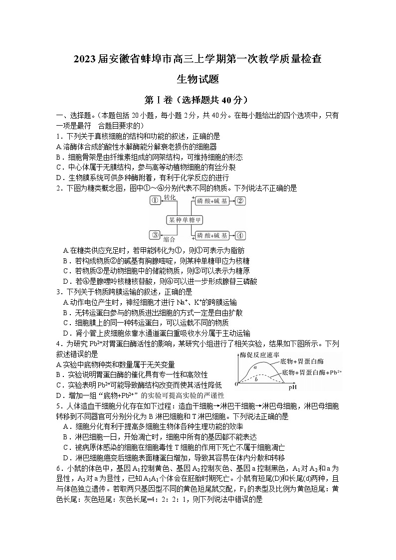 安徽省蚌埠市2023届高三上学期第一次教学质量检查试题生物（Word版附解析）01
