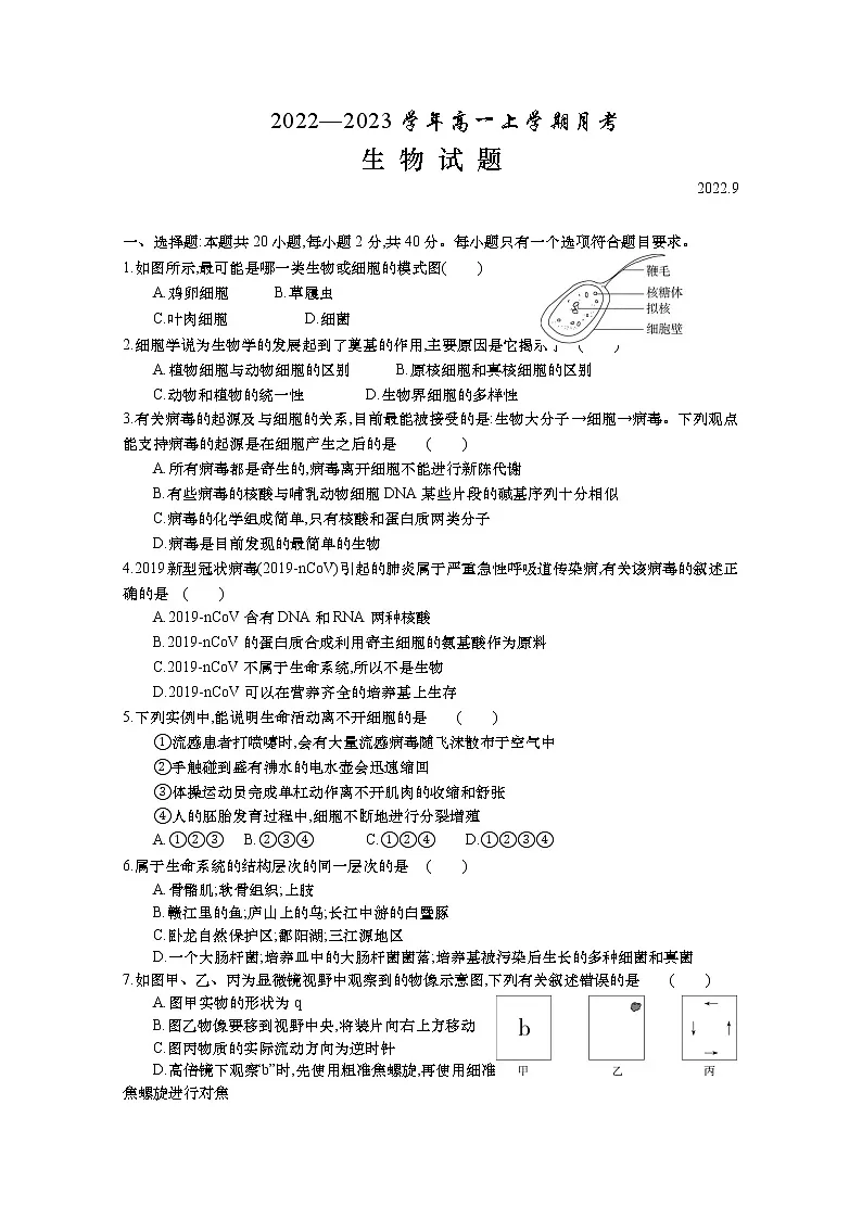 山东省德州市武城县第二中学2022-2023学年高一上学期9月月考生物试题（Word版附答案）第1页