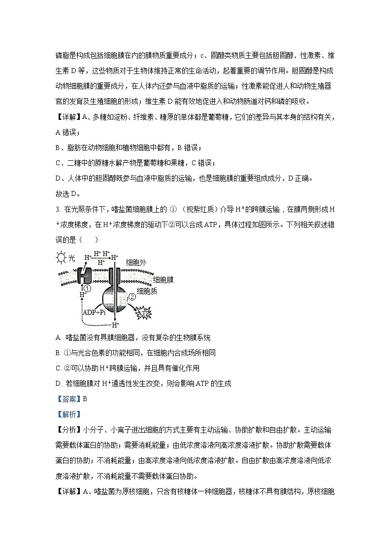 湖北省高中名校联盟2023届高三第一次联合测评生物试题（Word版附答案）第2页