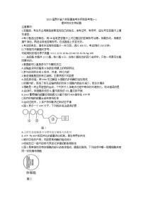 贵州省六校联盟2022-2023学年高三上学期第一次联考理科综合生物试题（含答案）