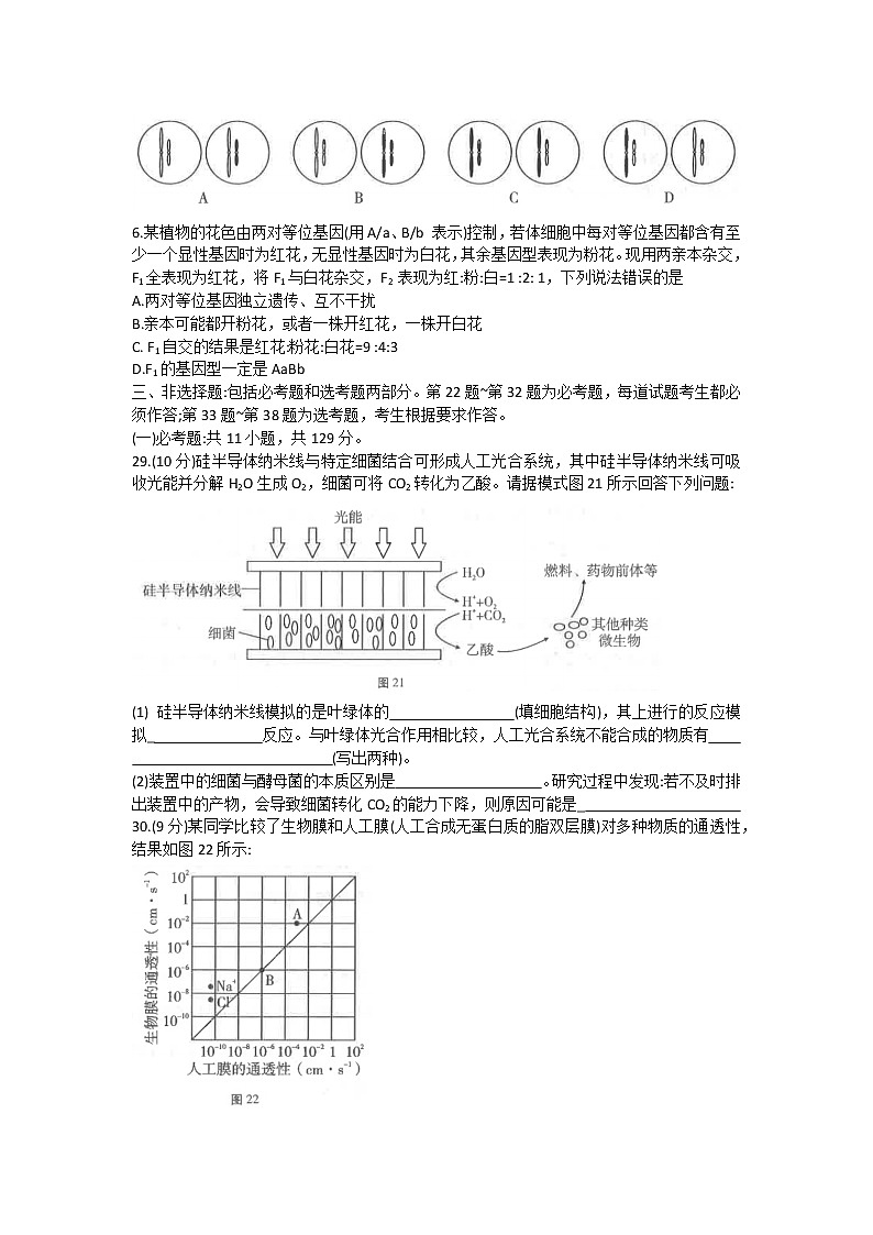 贵州省六校联盟2022-2023学年高三上学期第一次联考理科综合生物试题（含答案）02