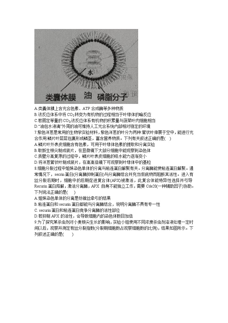 辽宁省铁岭市六校协作体2022-2023学年高三上学期第一次联考生物试题（含答案）02
