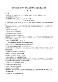 2023河南省名校高三上学期阶段性考试（四）生物含解析