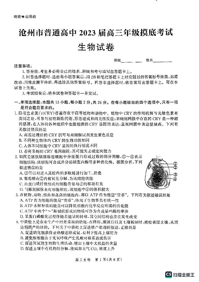 2023沧州高三上学期摸底考试生物PDF版无答案第1页