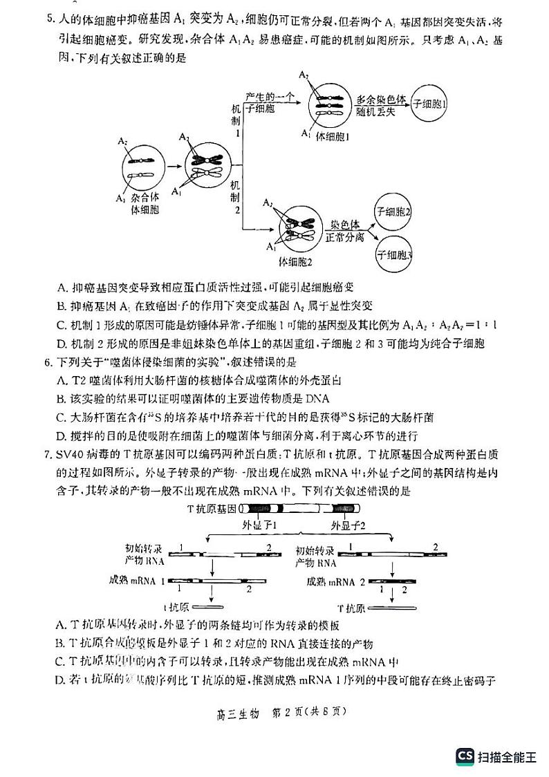 2023沧州高三上学期摸底考试生物PDF版无答案第2页