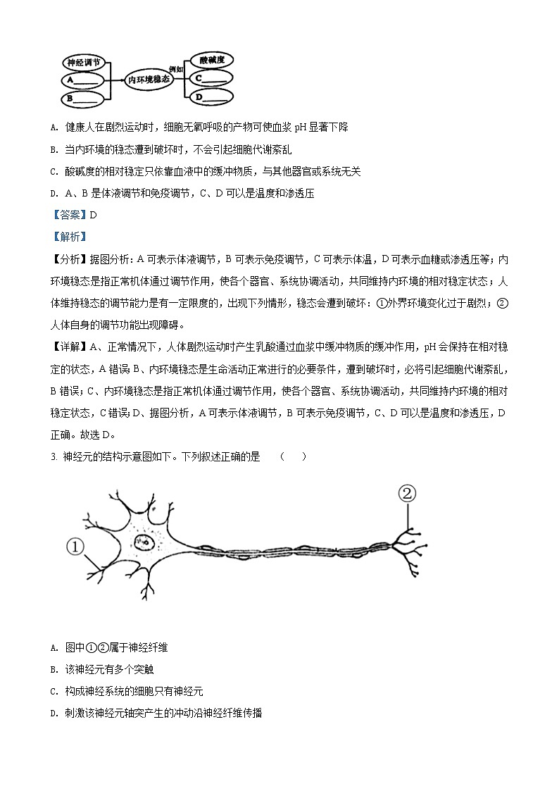山西省长治市上党区第一中学校2021-2022学年高二上学期9月月考生物试题含答案第2页
