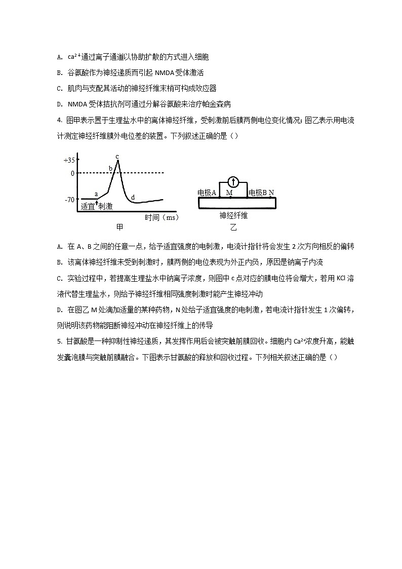 2022衡水冀州区一中高二上学期期末等级考试生物试题含解析第2页
