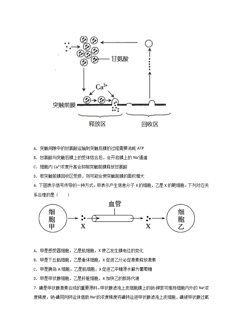 2022衡水冀州区一中高二上学期期末等级考试生物试题含解析第3页