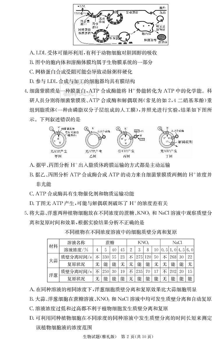 雅礼中学2023届高三月考生物试卷（二）第2页