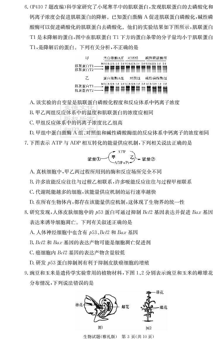 雅礼中学2023届高三月考生物试卷（二）第3页