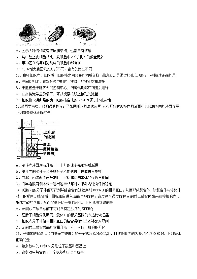 2023河南省豫南名校高三上学期9月质量检测试题生物含答案03