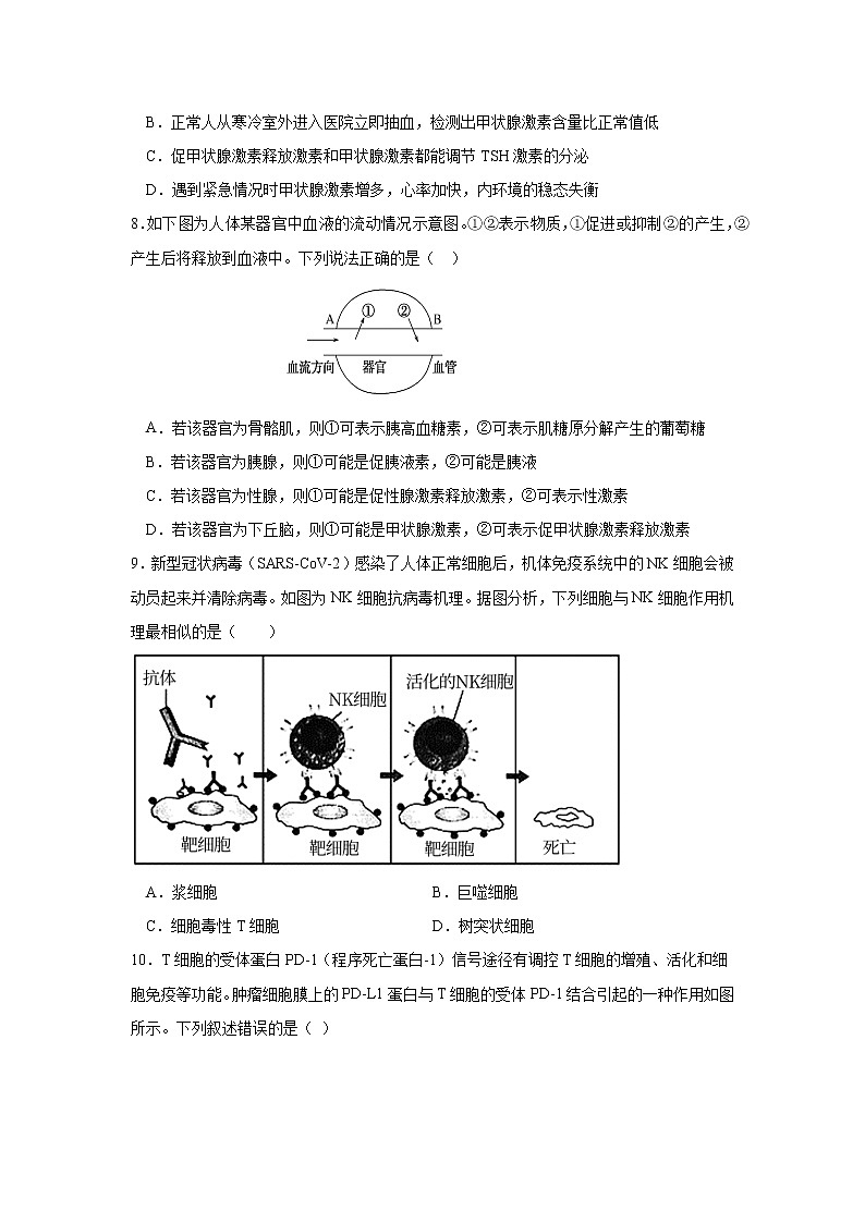 2023泗阳县实验高级中学高二上学期第一次调研测试生物试卷含答案第3页