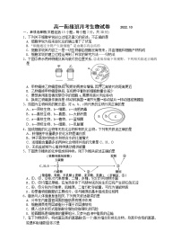 2023盐城阜宁中学高一衔接班上学期第一次学情调研考试生物试卷