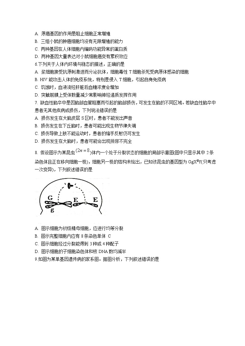 江苏省镇江市2022-2023学年高三联盟10月联考生物试题 无答案第2页