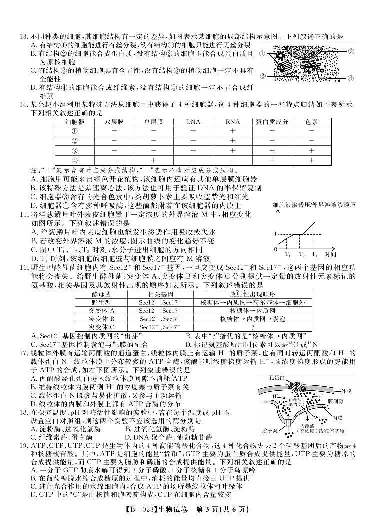 2023届安徽省省示范高中高三上学期第二次联考 生物试题 PDF版03
