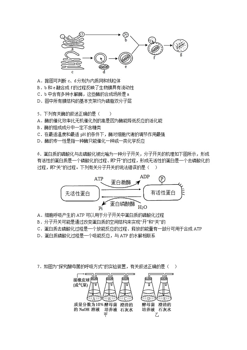 2023长沙同升湖实验学校高三上学期第二次月考生物试卷含答案02