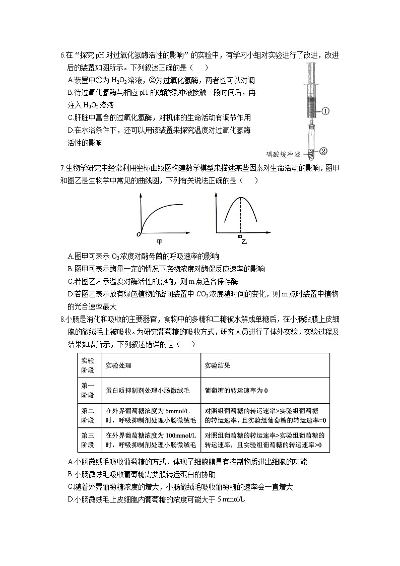 2023龙岩一中高三上学期第二次月考生物试题含答案第2页