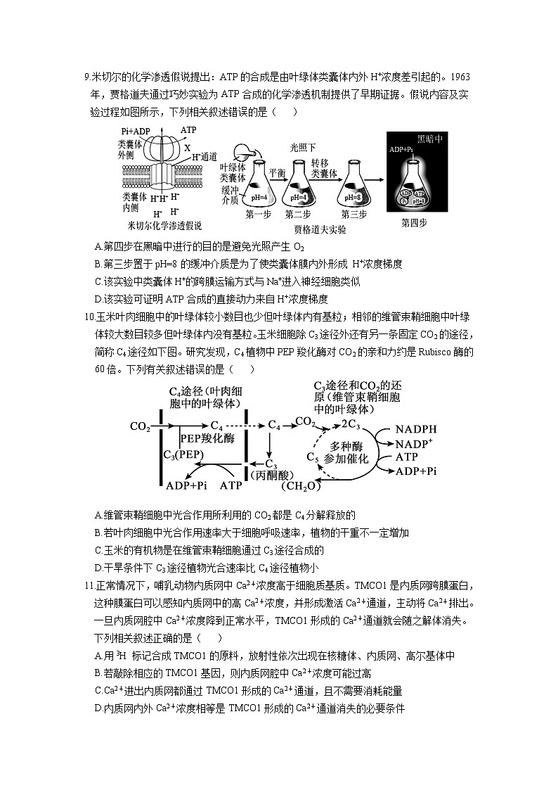 2023龙岩一中高三上学期第二次月考生物试题含答案第3页