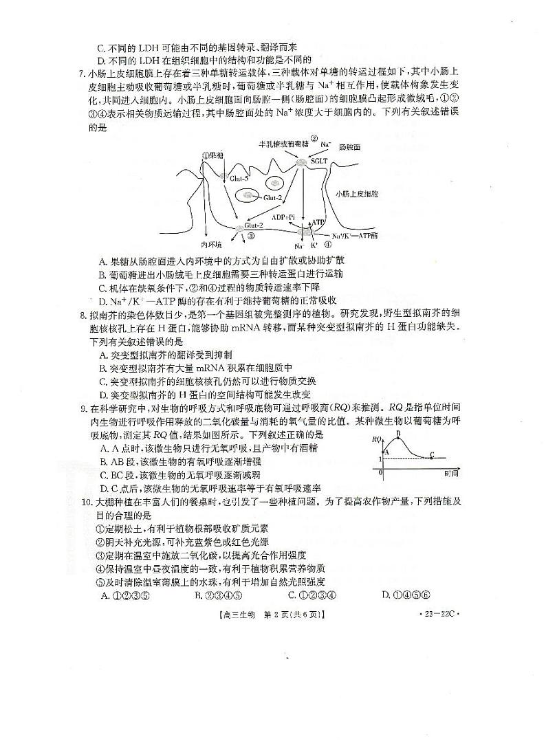 2023届湖北省百校联考高三上学期10月联考 生物试题 PDF版02