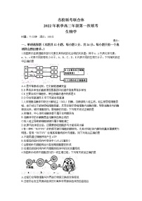 2023湖南省名校联考联合体高二上学期第一次联考生物试卷含答案