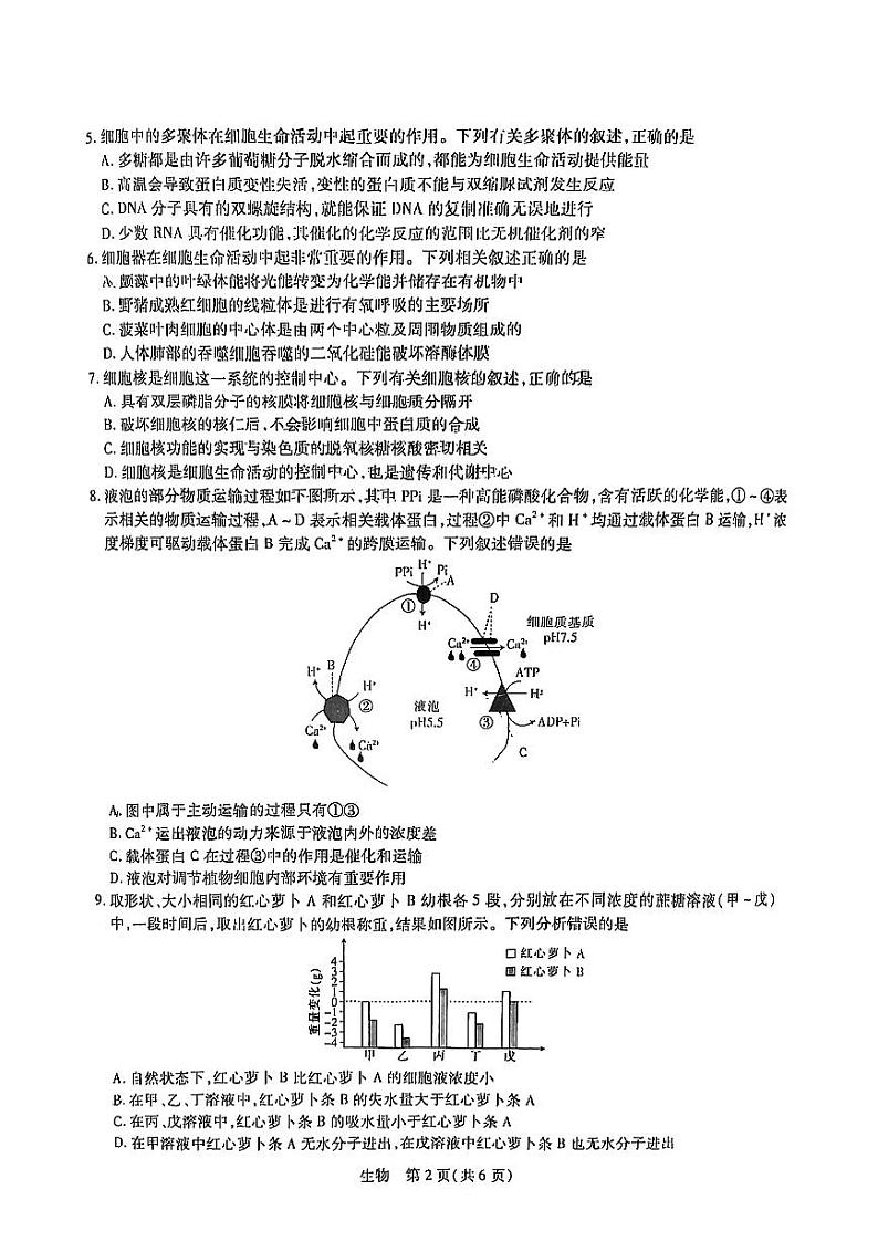【稳派-智慧上进】2023届高三10月统一调研考试（生物）第2页