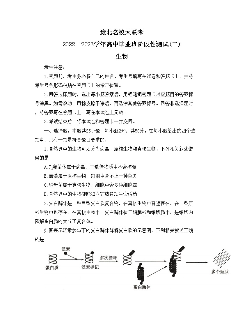 河南省豫北名校大联考2022-2023学年高三上学期毕业班阶段性测试（二）生物试卷第1页