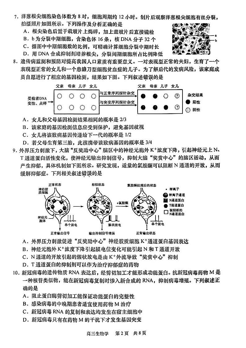 2023南通如皋高三上学期教学质量调研（一）生物试题PDF版含答案02