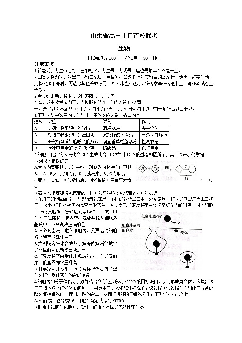 2023山东省高三上学期10月百校联考生物试题含解析01