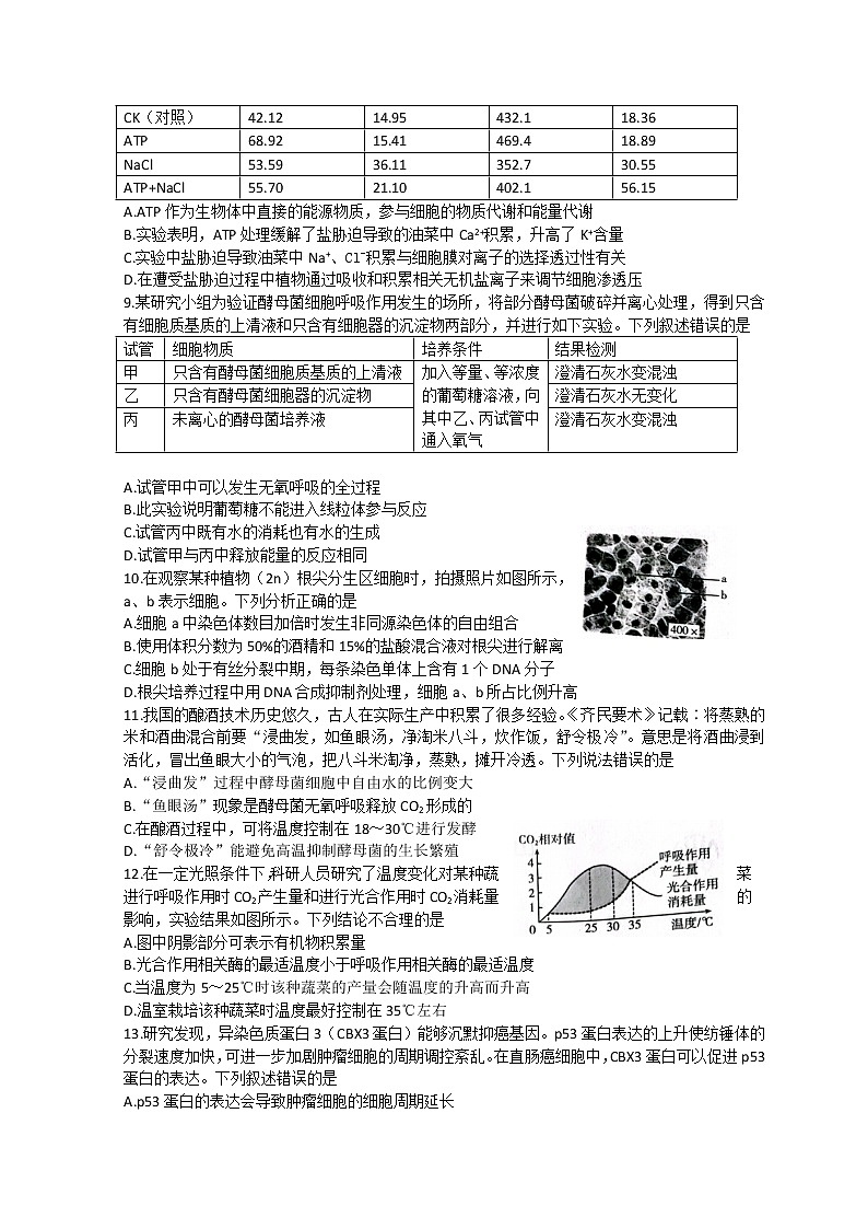 2023山东省高三上学期10月百校联考生物试题含解析03